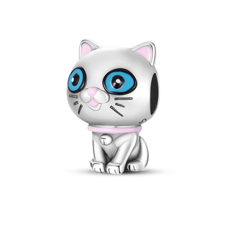 Gatos