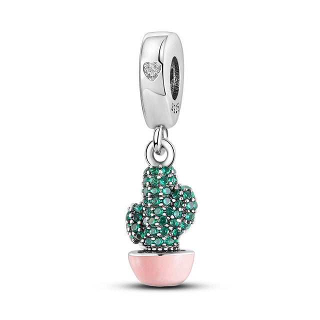 Cactus rosa