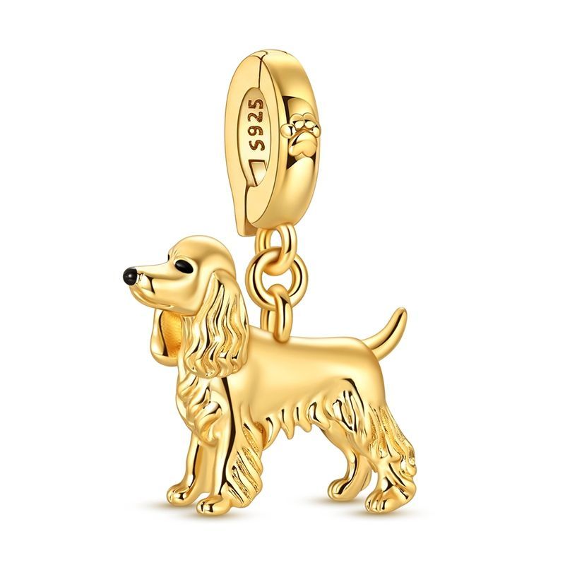Cocker spaniel oro