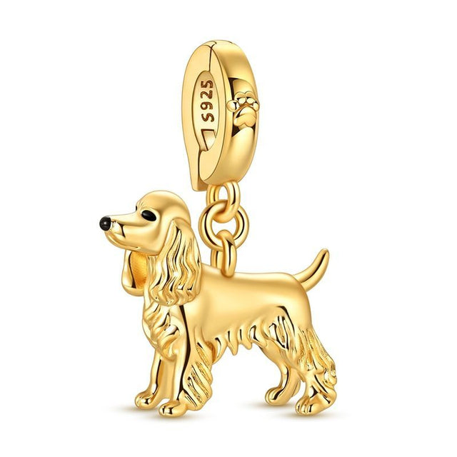 Cocker spaniel oro