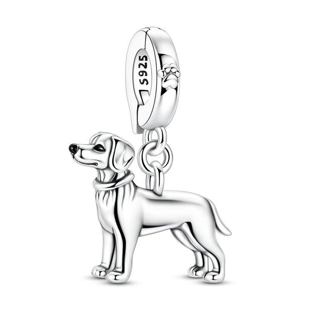Labrador