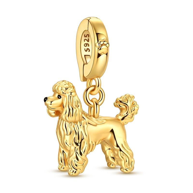 Perrito teddy oro
