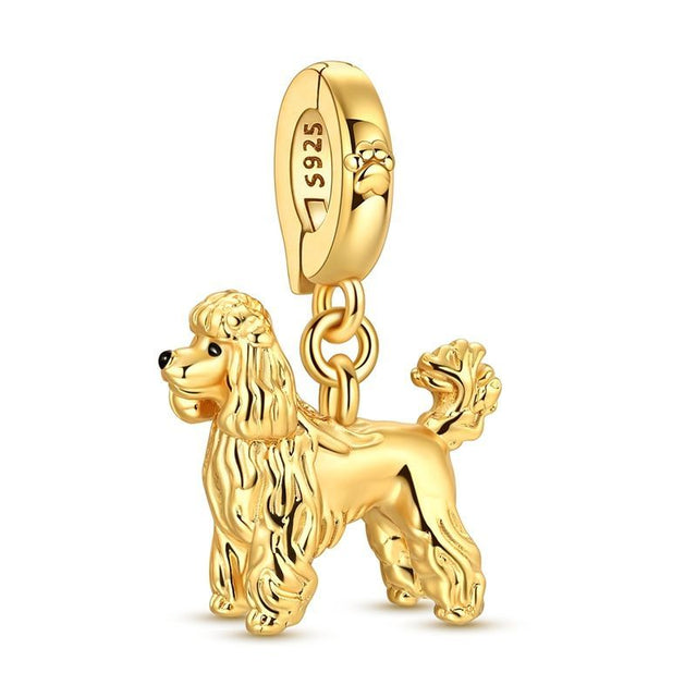 Perrito teddy oro