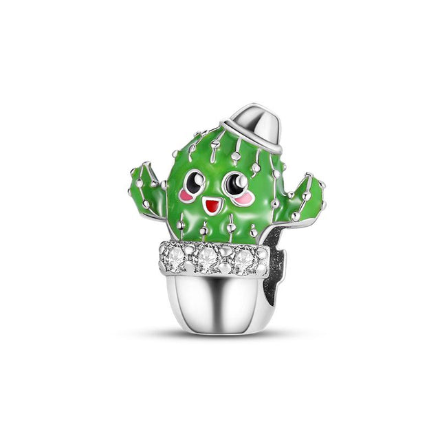 Cactus maceta