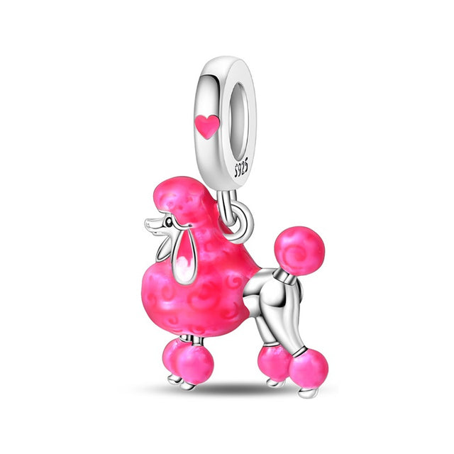 Poodle coqueto
