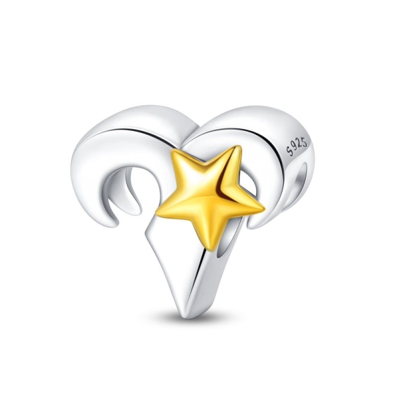 Aries estelar