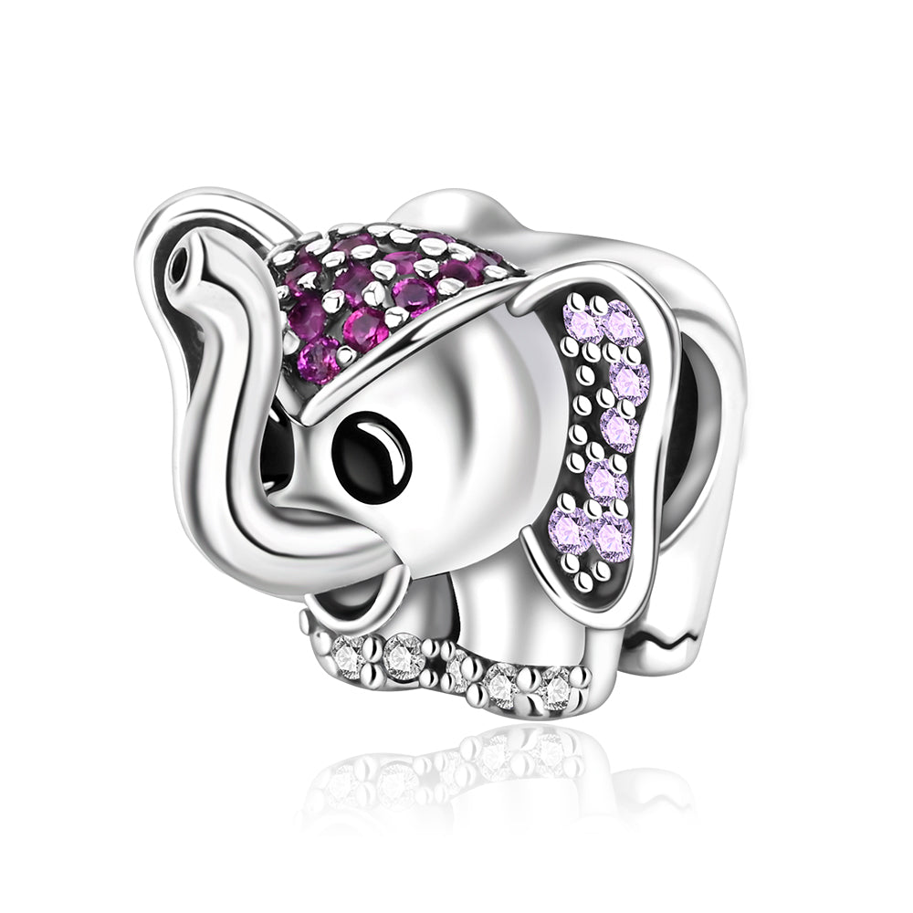 Elefante cuenta