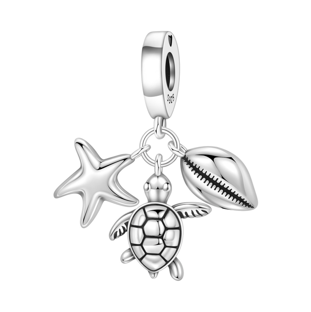 Tortuga marina y concha